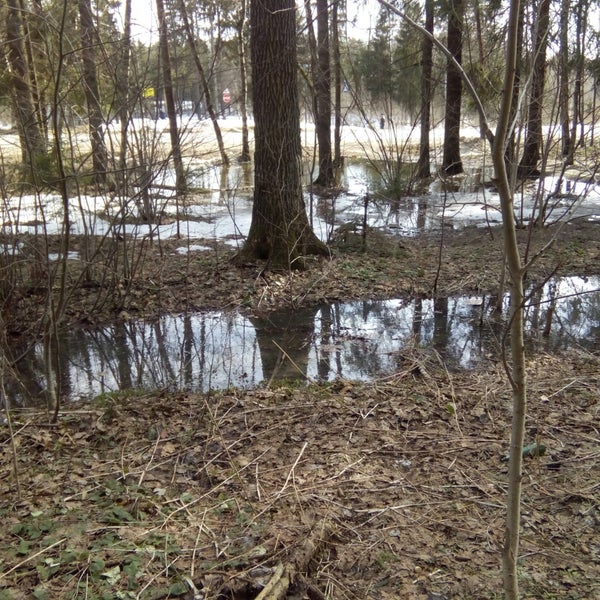 Макаркин пруд в пересвете. Макаркин пруд сергиев посад. Макаркин пруд в пересвете. Пересвет пруд. Пересвет пруд.