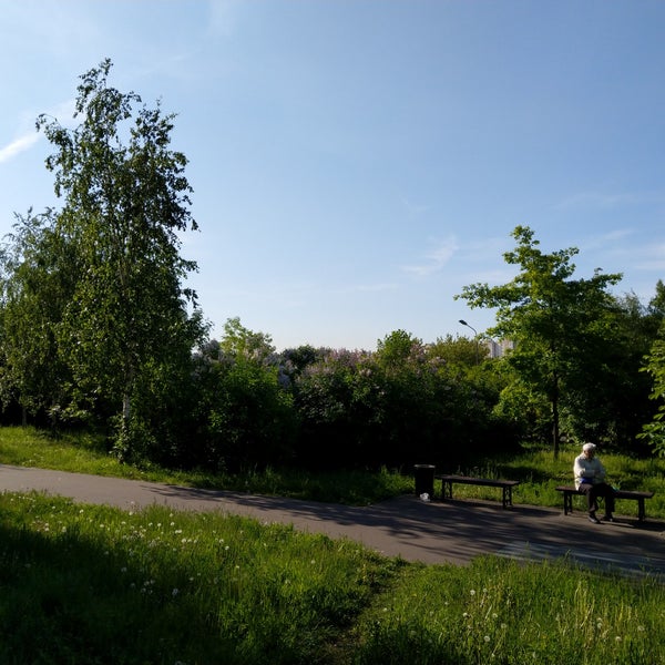 Парк шкулева