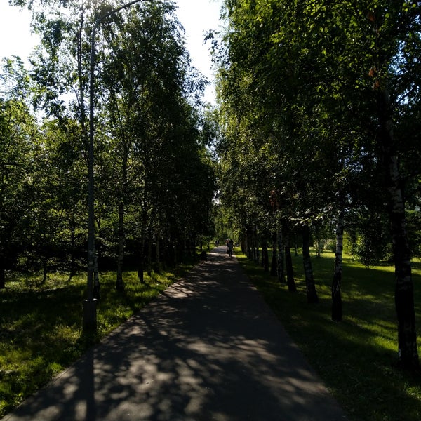Парк шкулева