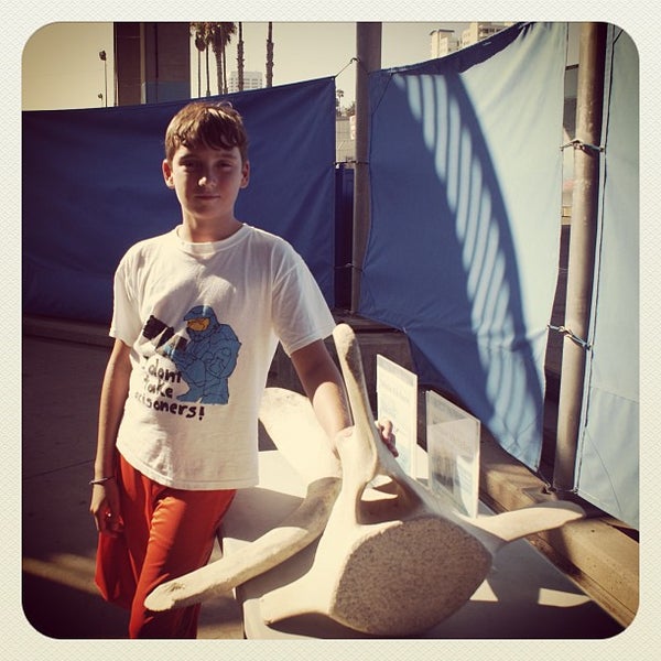 8/1/2013에 Abi H.님이 Santa Monica Pier Aquarium에서 찍은 사진