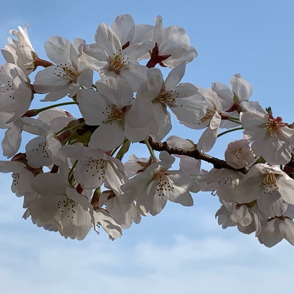 Photos At 富山県中央植物園 2 Tips