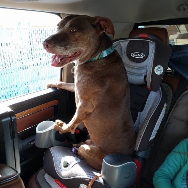 Little Sisters Truck Wash Car Wash in Eloy