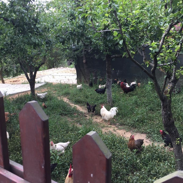 7/5/2020 tarihinde Necmi Y.ziyaretçi tarafından Kuzu Sofrası Kuyu Kebabı'de çekilen fotoğraf