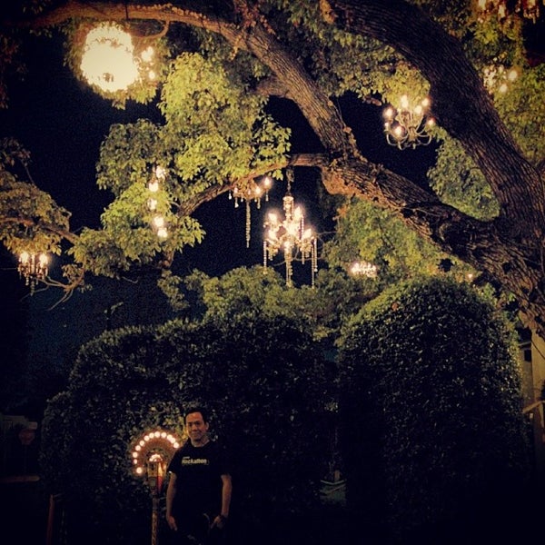 Photos at Chandelier Tree Tree in Silver Lake