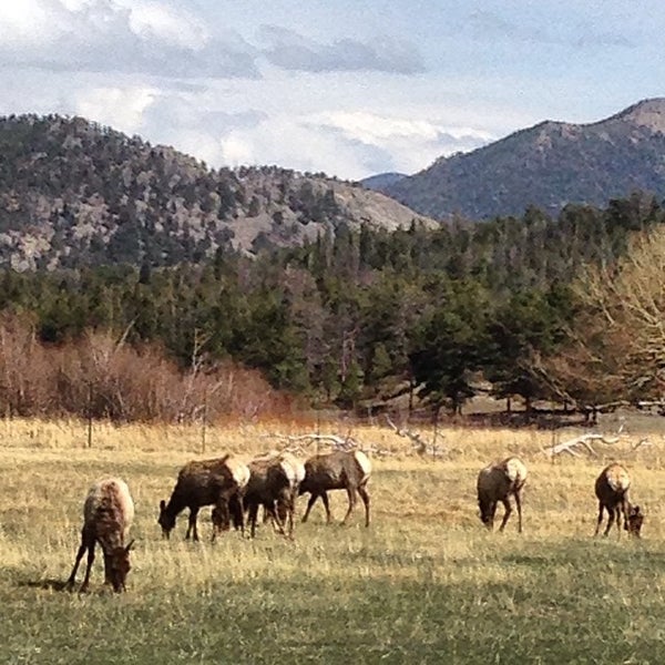 Upper Meadow