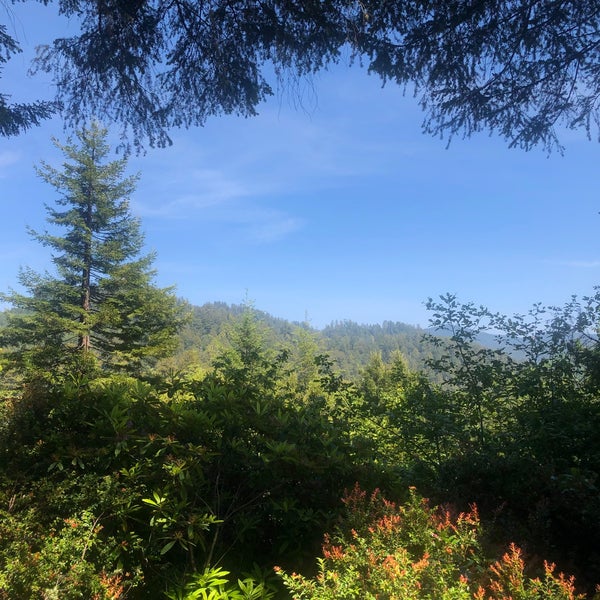 Trees Of Mystery Arts and Entertainment