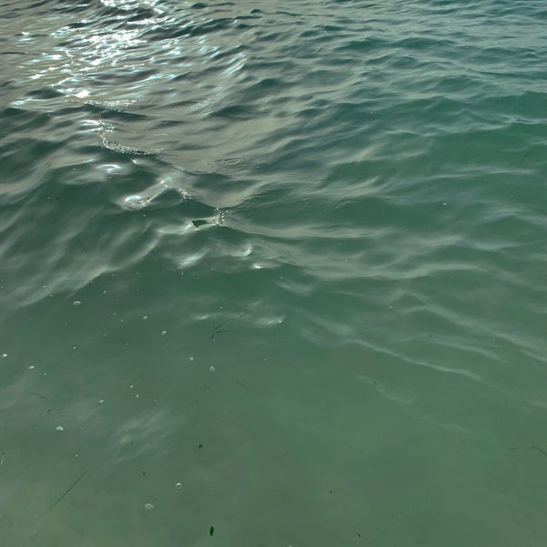 5/6/2022にSHIHANAHがYas Beach / شاطئ ياسで撮った写真