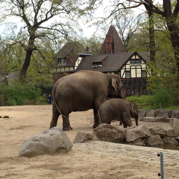 Foto tomada en Zoo Berlin  por Kotya Z. el 5/3/2013