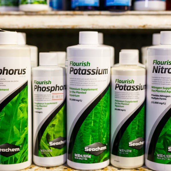 Albany Aquarium Pet Supplies Store in Albany