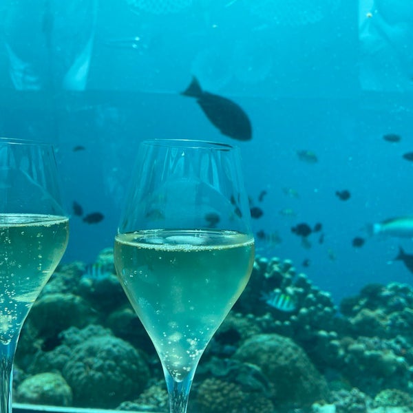 Ресторан 5 8 Undersea Restaurant