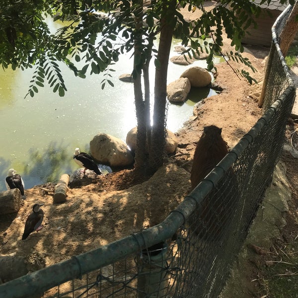 รูปภาพถ่ายที่ Polonezköy Hayvanat Bahçesi ve Doğal Yaşam Parkı โดย Dilek เมื่อ 9/19/2021
