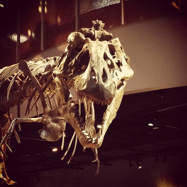 Photo taken at Perot Museum of Nature and Science by Michael S. on 11/30/2012