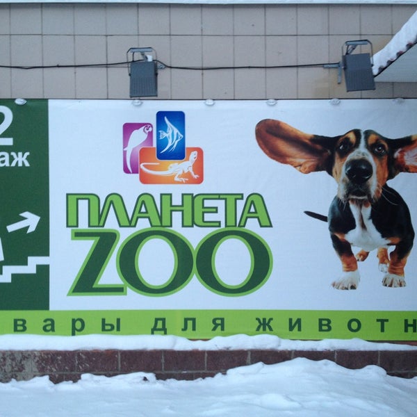 Зоо Интернет Магазин Томск
