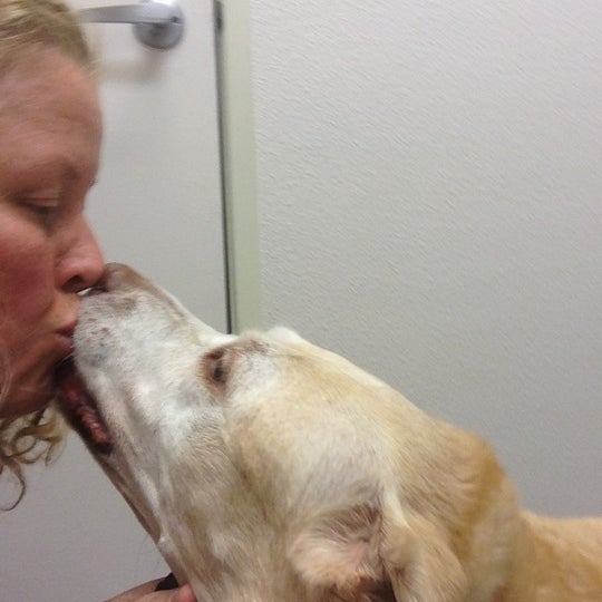 northridge veterinary