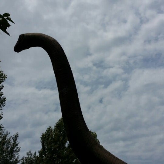 Das Foto wurde bei Zoomarine von Netwalk M. am 6/26/2014 aufgenommen