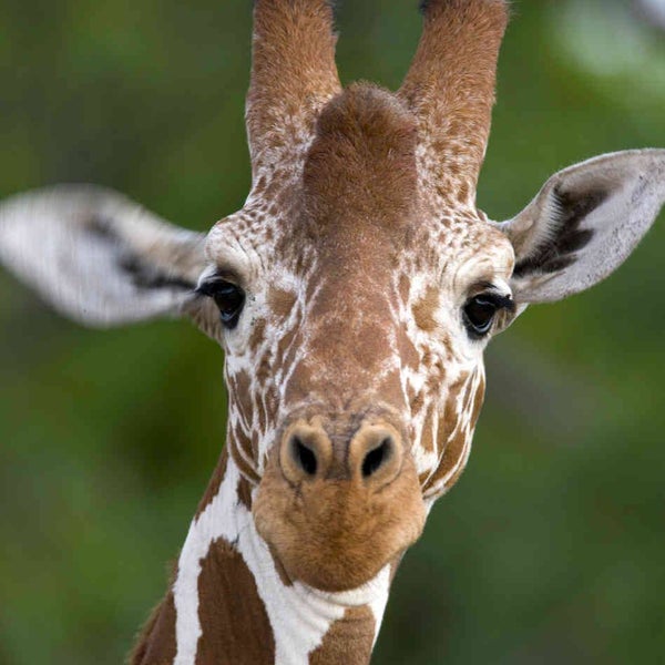 Das Foto wurde bei Lake Tobias Wildlife Park von Columbia Distributing am 5/29/2018 aufgenommen