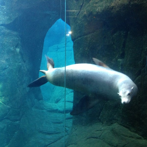 Снимок сделан в El Paso Zoo пользователем Goldie A. 12/29/2012