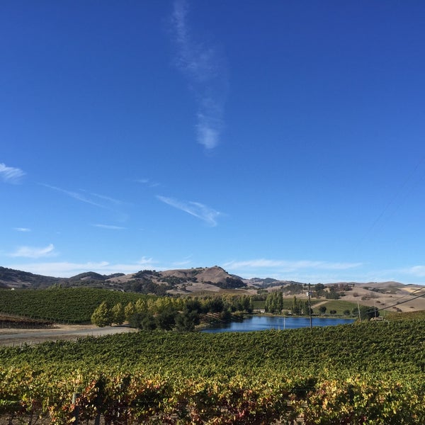 Das Foto wurde bei Cuvaison Estate Wines von Samir S. am 10/10/2015 aufgenommen
