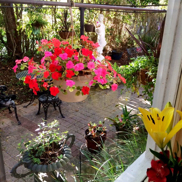Photos At English Tea Room Cafe In Saint John