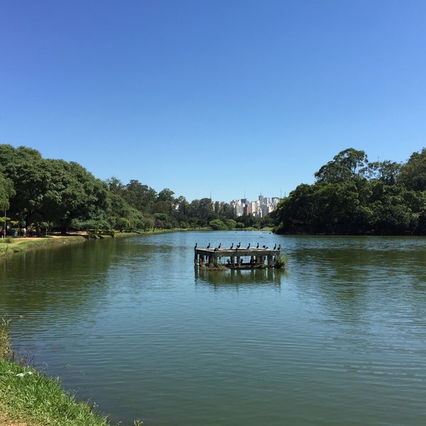 Photo taken at Ibirapuera Park by Victor M. on 1/26/2016