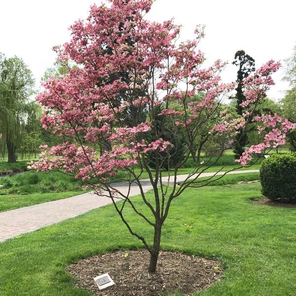 Photos at Rose Garden Park in Westside