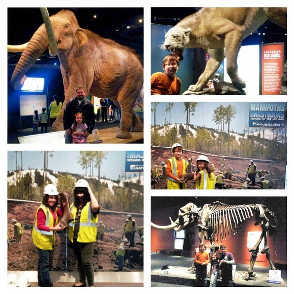 Photo taken at Denver Museum of Nature and Science by Elle M. on 3/12/2013