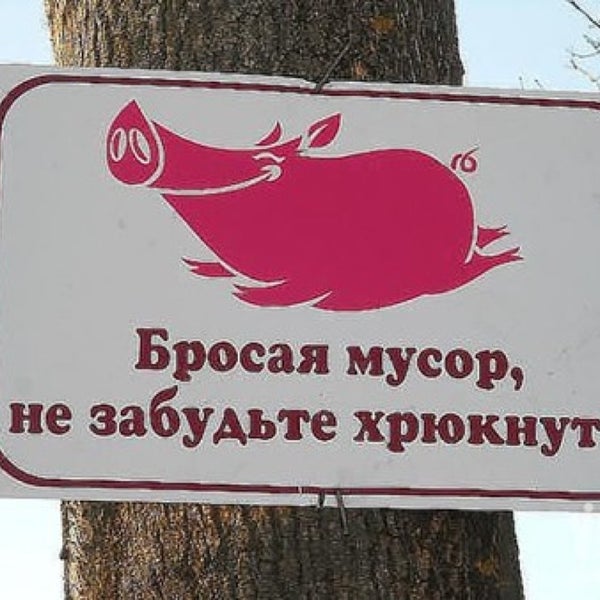 Бросая мусор не забудьте хрюкнуть картинки