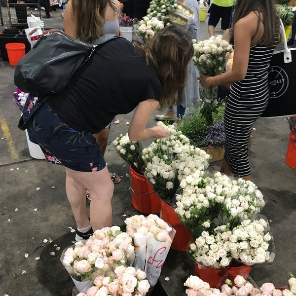 Flemington Flower Markets Sydney Opening Hours Best Flower Site