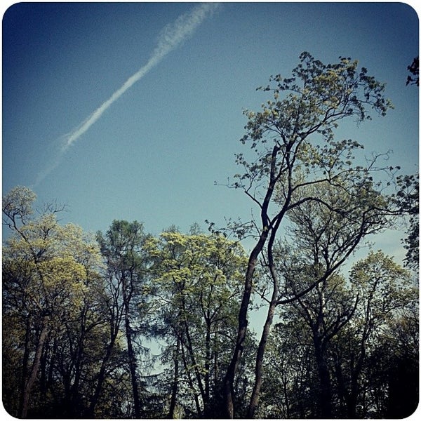 Photo taken at Bernardine Cemetery by Dainora O K. on 4/26/2014