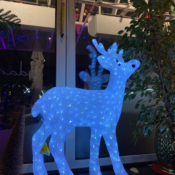 Cedar Lounge Parkstadt 20 tips