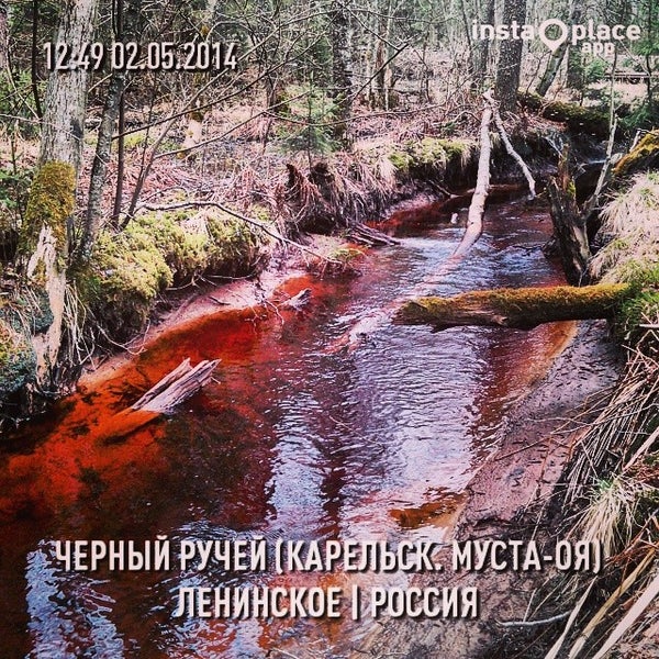 Черными ручьями эта музыка прямо. Ручей в тайге. Темный ручей. Черный ручей инта. Ручей черный измайлово.