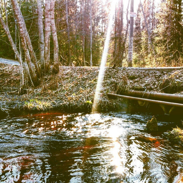 Черными ручьями эта музыка прямо. Теннесси природа зимой. Черными ручьями эта музыка прямо. Черными ручьями эта музыка прямо. Горная река черно белая.