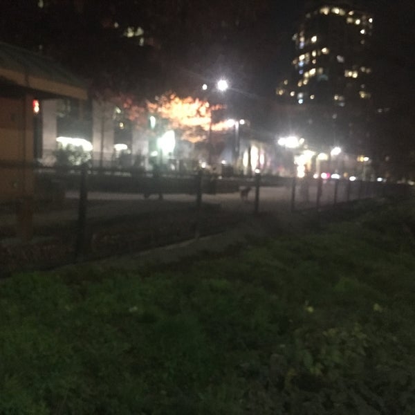 Photos at Plymouth Pillars Park Dog Park in Seattle