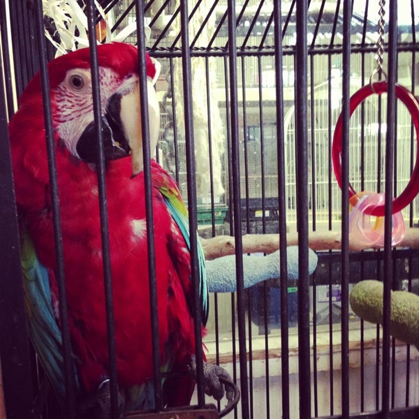 The Animal House Corvallis, OR