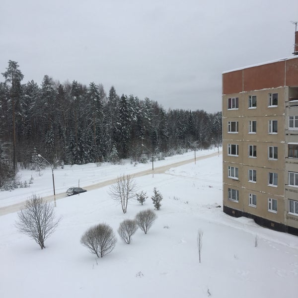 Бассейн чистые боры. Поселок чистые боры. Поселок чистые боры. Чистые боры костромская область. Чистый бор костромская область.