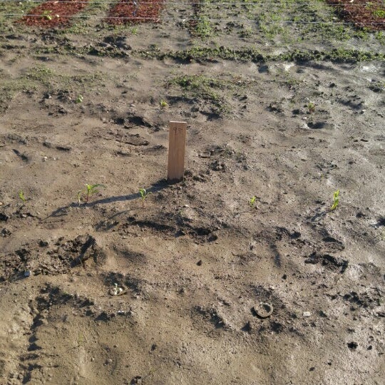 Stansbury Park Park in Dundalk