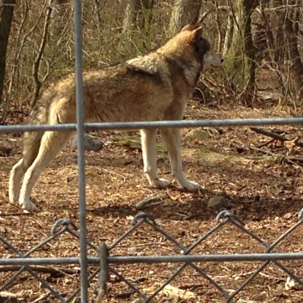 Foto diambil di Camp Taylor &amp; Lakota Wolf Preserve oleh Svitlana B. pada 2/20/2016
