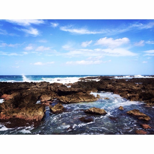 Sharks Cove - 3 tips