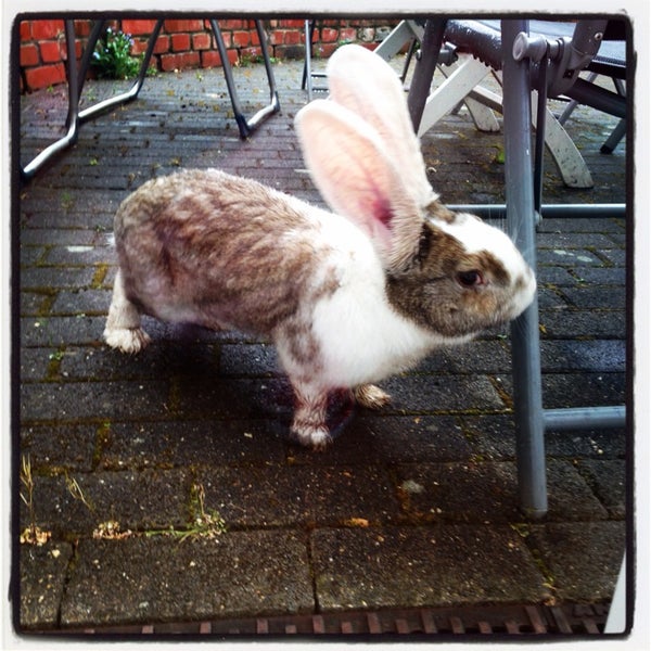 Photos At Haus Haschen Bed Breakfast