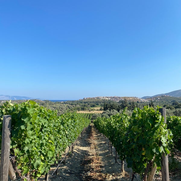 Foto scattata a Datça Vineyard &amp; Winery da Arman il 7/1/2023
