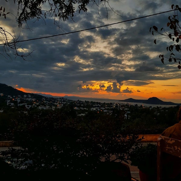 Adanaocakbasi Instagram Posts Photos And Videos Picuki Com