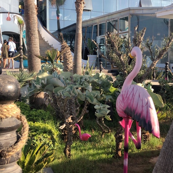 Photos At Flamingo Beach Club الدار البيضاء Région Du