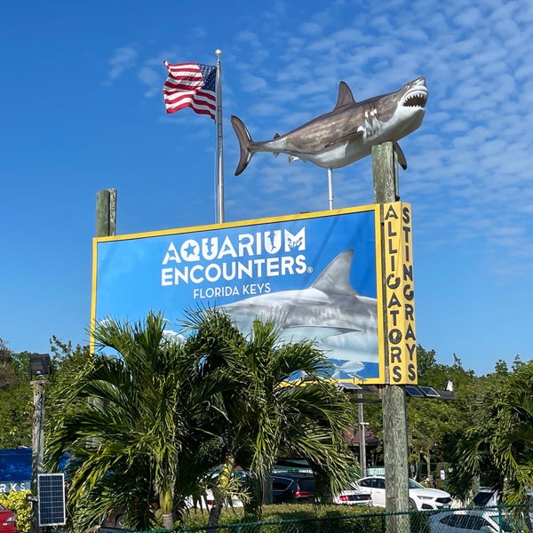 Florida Keys Aquarium Encounters - 11710 Overseas Hwy