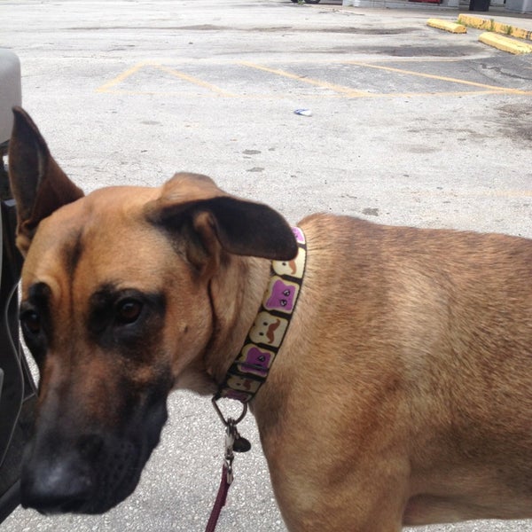 rapid robert s ridgedale mo rapid robert s ridgedale mo