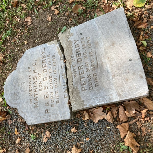 сорок кладбище