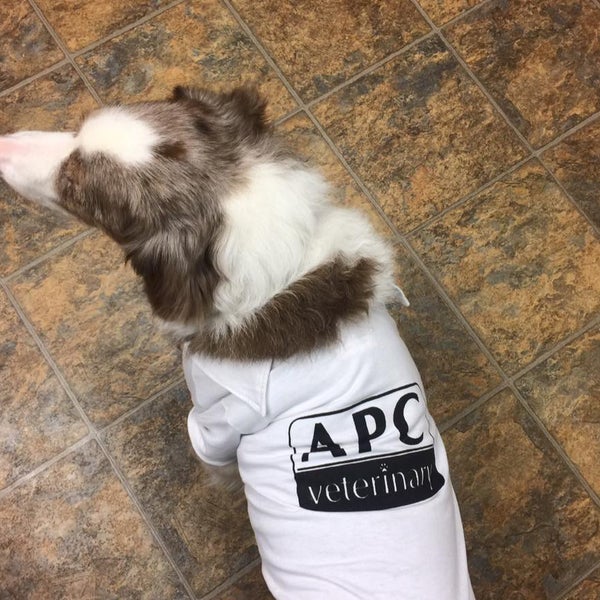 apc vet clinic