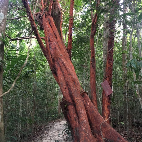 Снимок сделан в Tub Kaek - Khao Ngon-Nak Nature Trail пользователем Victoria 12/22/2018