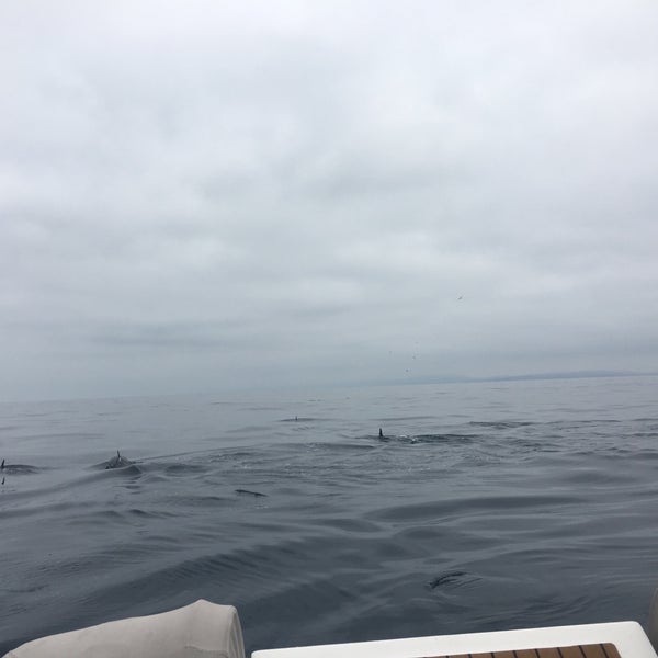Photo taken at Capt. Dave&#39;s Dana Point Dolphin &amp; Whale Watching Safari by Katie B. on 6/27/2018