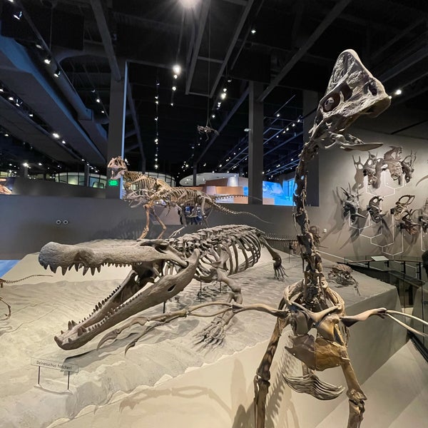 Foto tirada no(a) Natural History Museum of Utah por Natalie M. em 3/6/2021