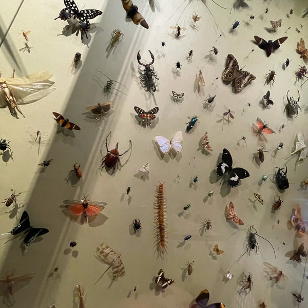 Das Foto wurde bei Natural History Museum of Utah von Natalie M. am 3/6/2021 aufgenommen